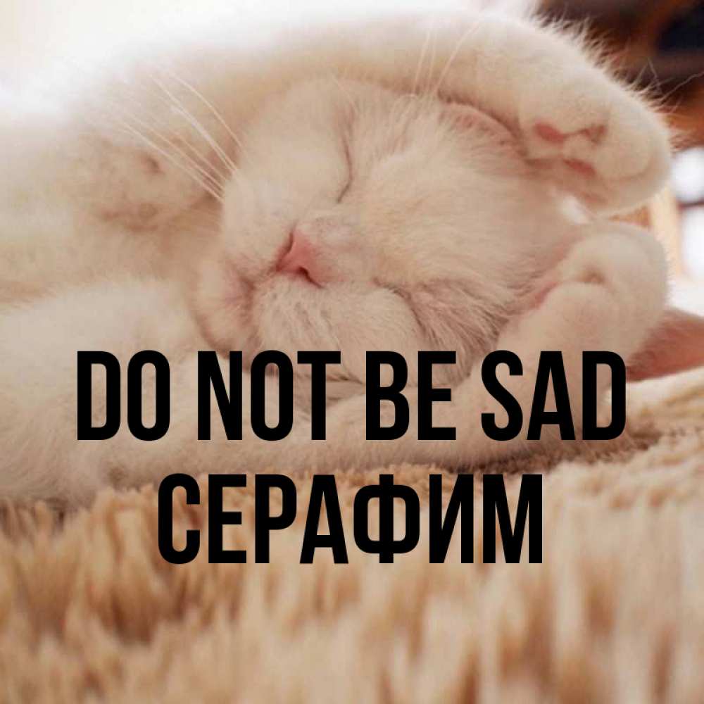 Greetings card с именем, Серафим Do not be sad Котенок спит Greetings with text for free download 