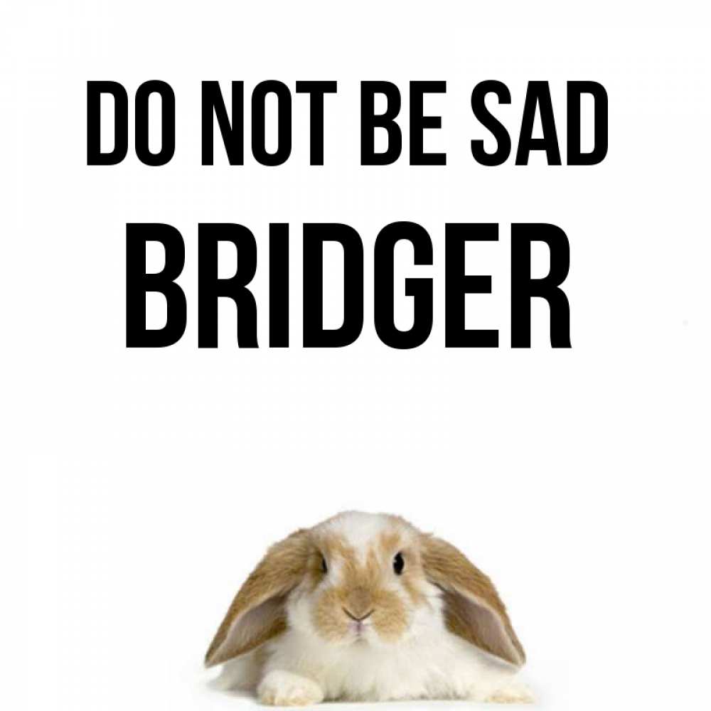 Greetings card с именем, Bridger Do not be sad коричнево белый заяц с большими ушками Greetings with text for free download 