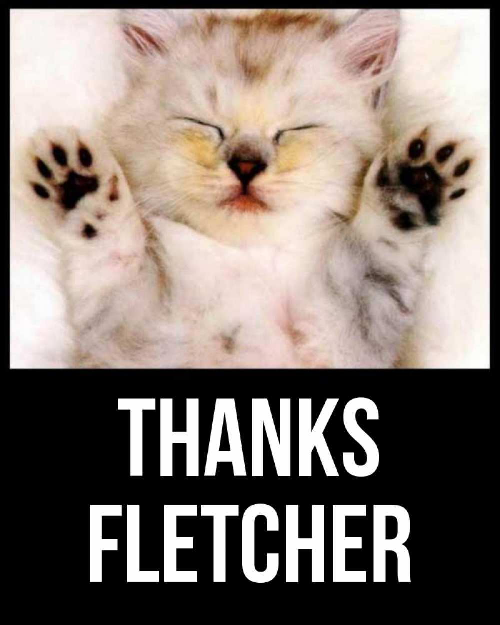 Greetings card с именем, Fletcher Thanks маленький котенок Greetings with text for free download 