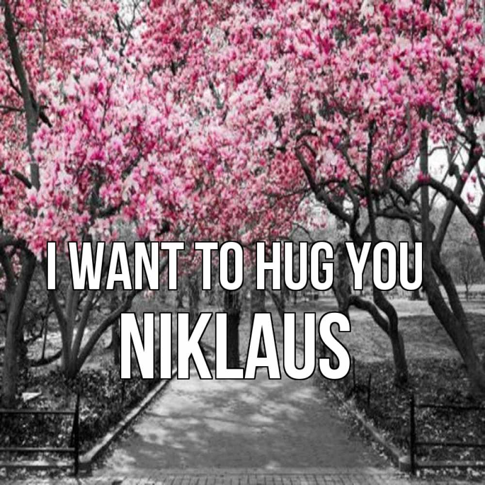 Greetings card с именем, Niklaus I want to hug you обработанное фото Greetings with text for free download 