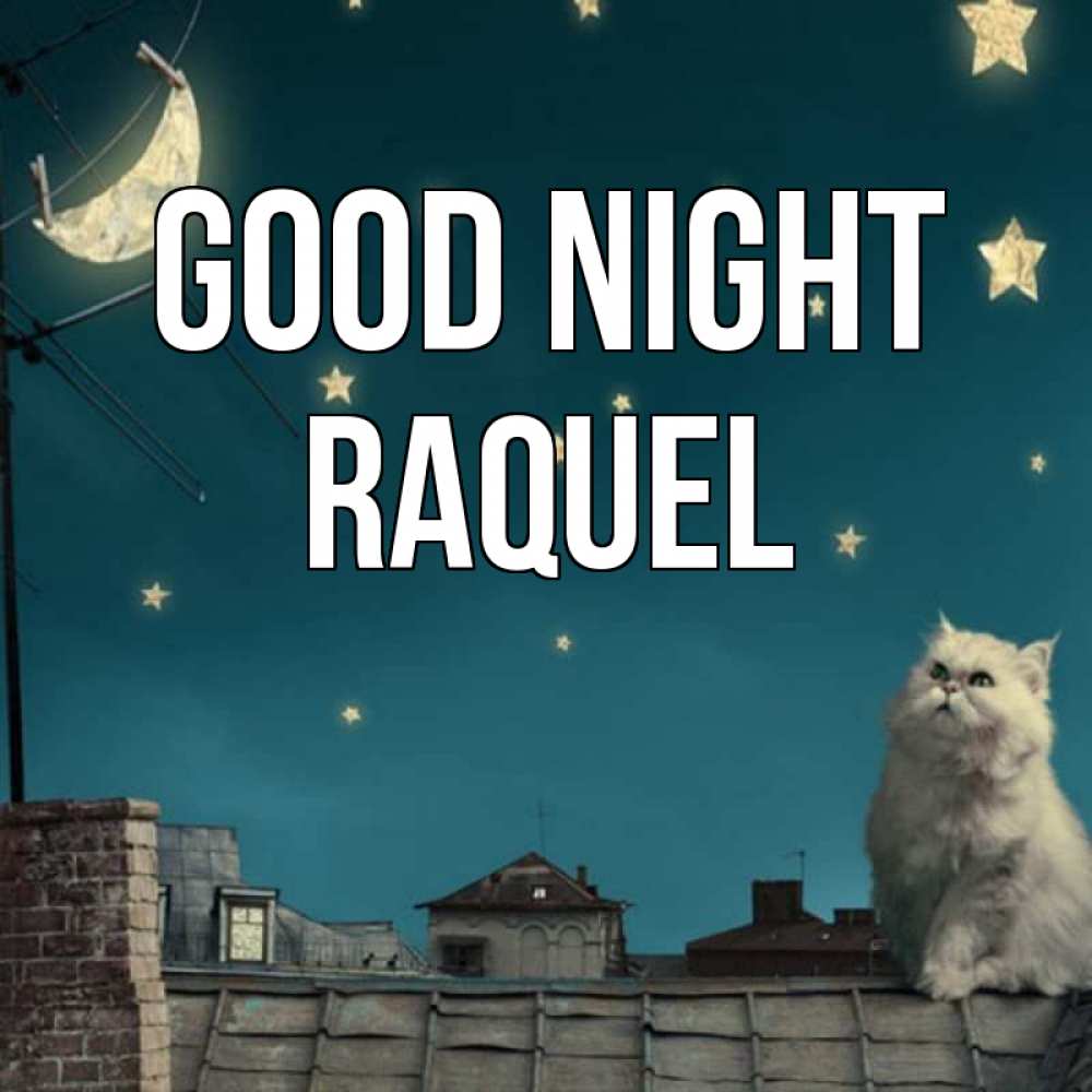 Greetings card с именем, Raquel Good night белый кот сидит на крыше Greetings with text for free download 