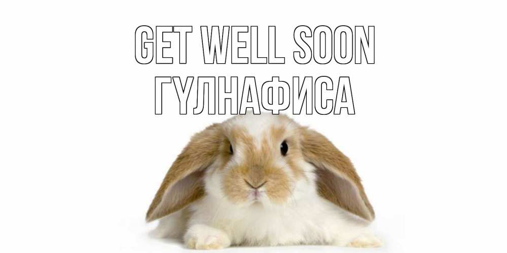 Greetings card с именем, ГҮЛНАФИСА Get well soon вислоухий кролик белого и коричневого цвета Greetings with text for free download 