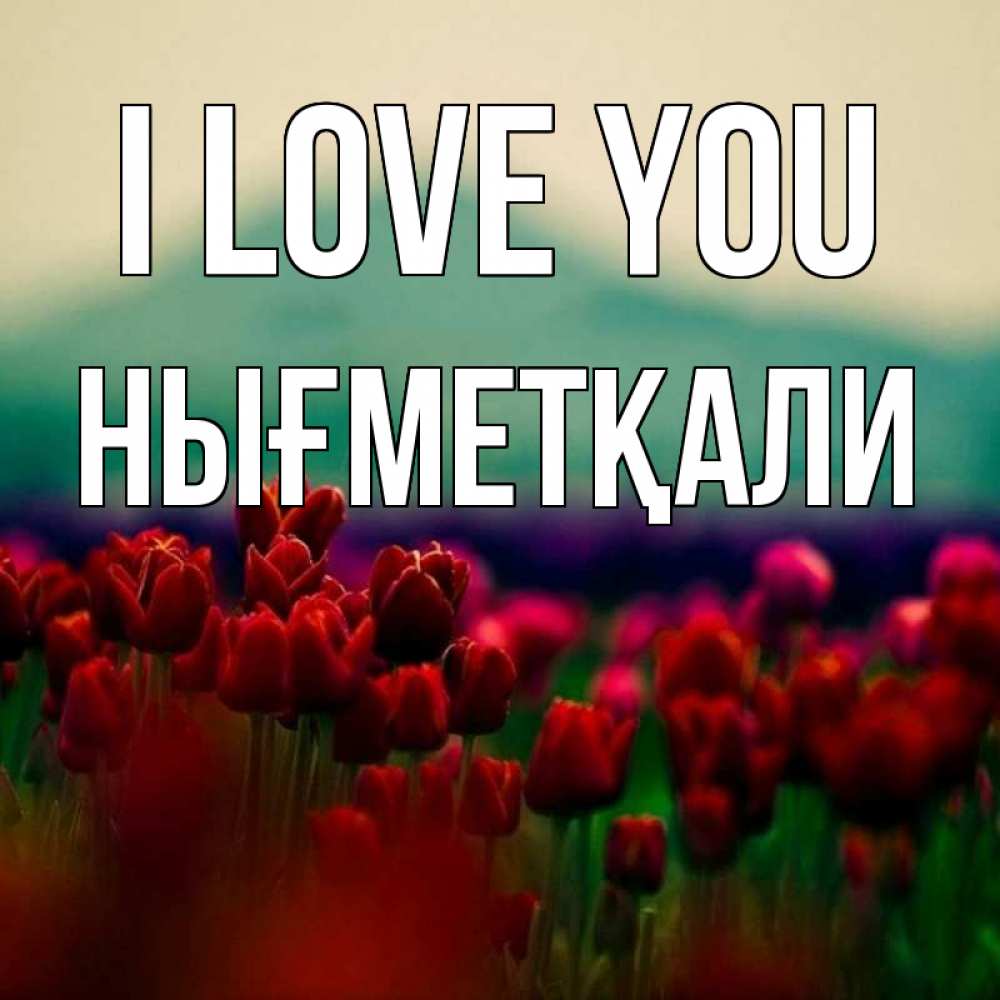 Greetings card с именем, НЫҒМЕТҚАЛИ I love you тюльпаны 4 Greetings with text for free download 