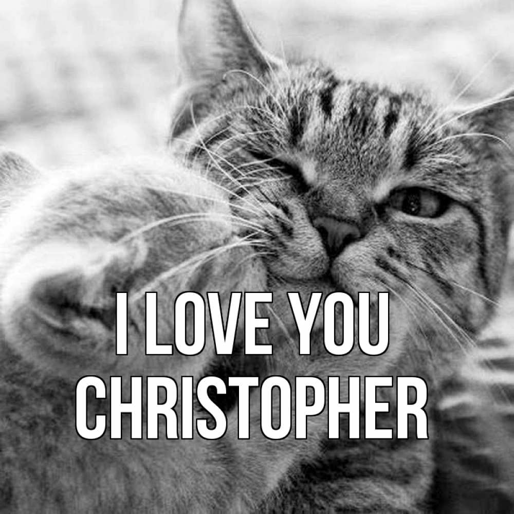 Greetings card с именем, Christopher I love you коты Greetings with text for free download 