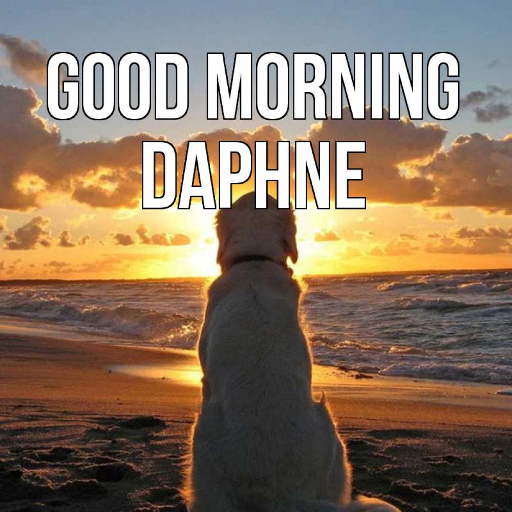 Greetings card с именем, Daphne Good morning восход солнца Greetings with text for free download 