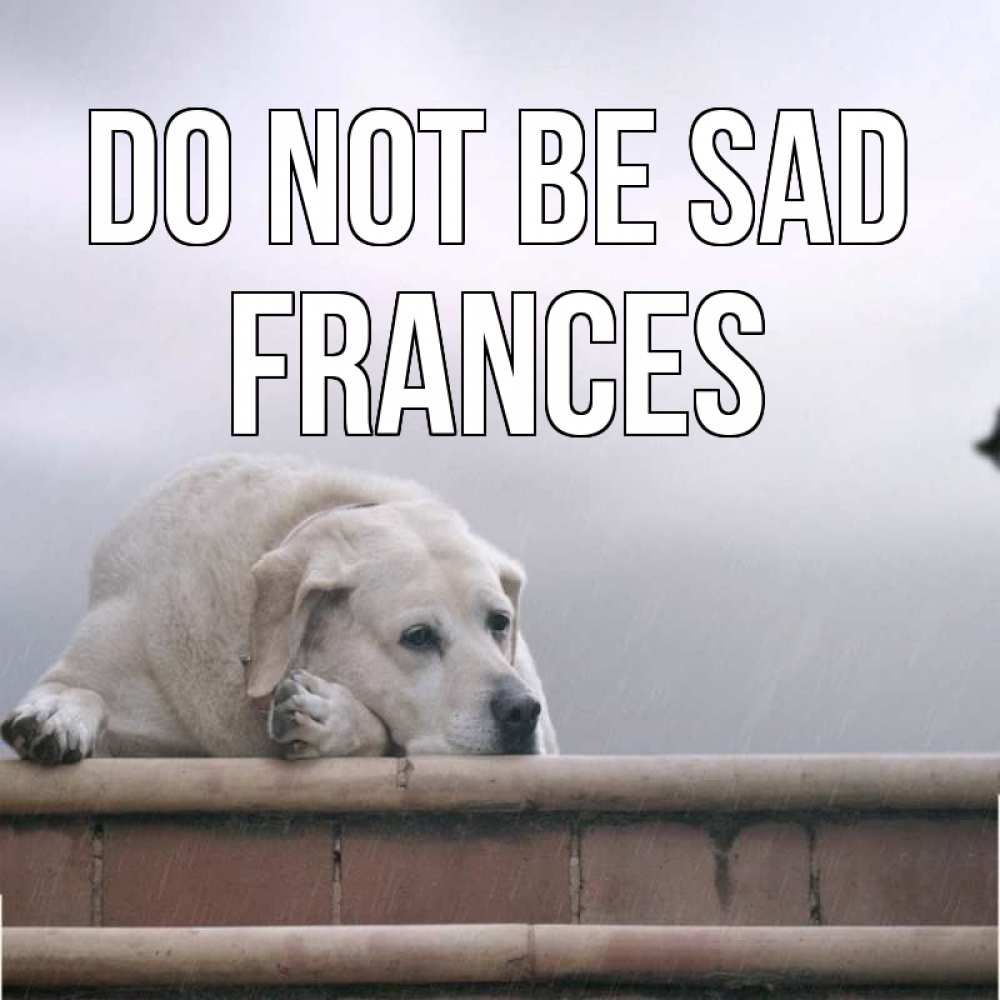 Greetings card с именем, Frances Do not be sad белый пес 1 Greetings with text for free download 