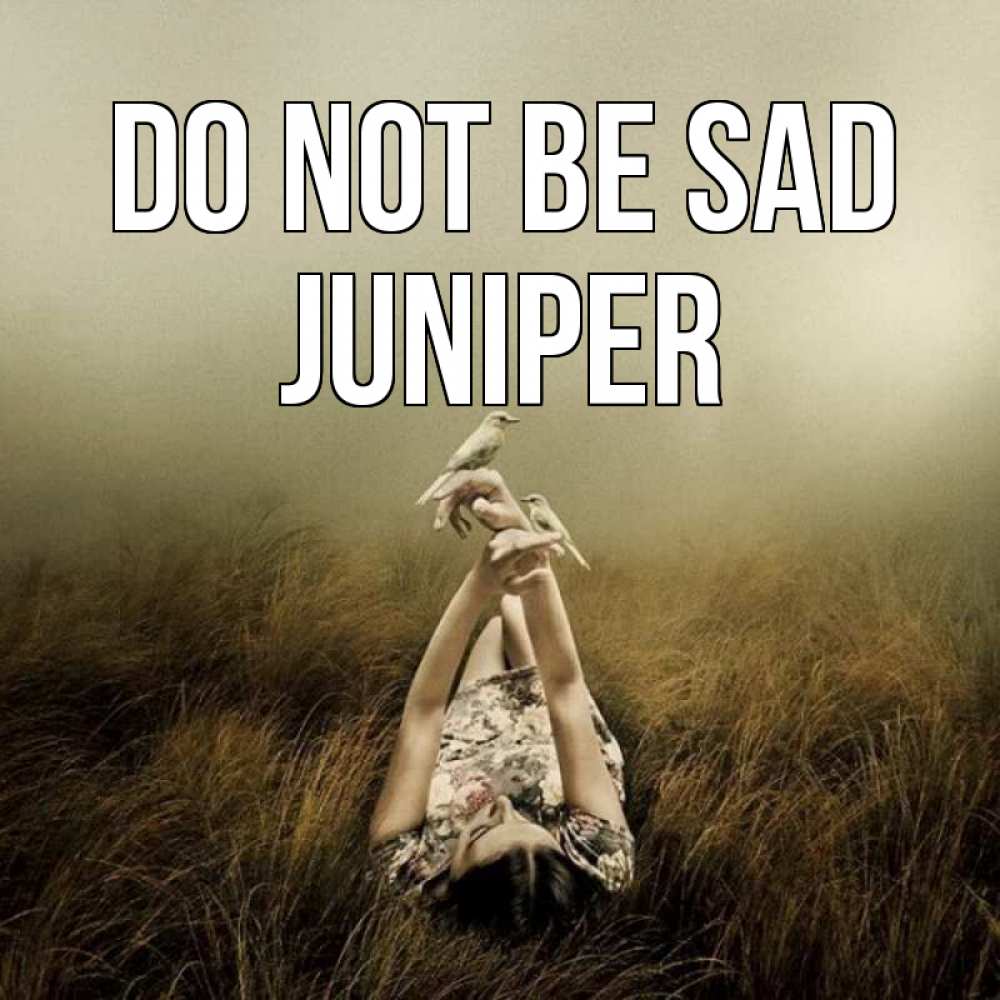 Greetings card с именем, Juniper Do not be sad поле и туман Greetings with text for free download 