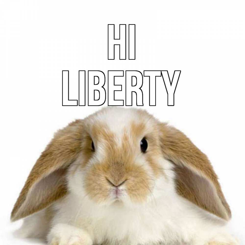 Greetings card с именем, Liberty Hi с животными Greetings with text for free download 