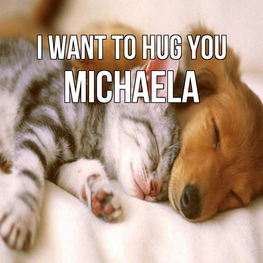 Greetings card с именем, Michaela I want to hug you пес и котенок Greetings with text for free download 