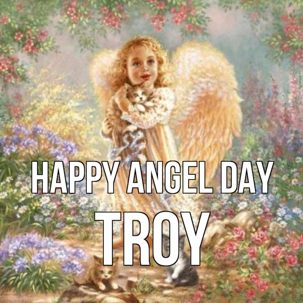 Greetings card с именем, Troy happy angel day держит котенка Greetings with text for free download 