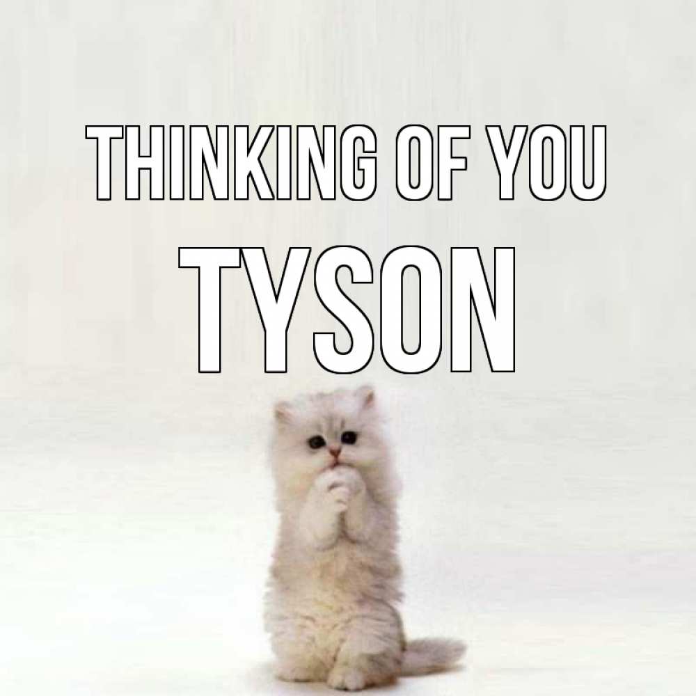 Greetings card с именем, Tyson Thinking of you кот стоит на задних лапах Greetings with text for free download 