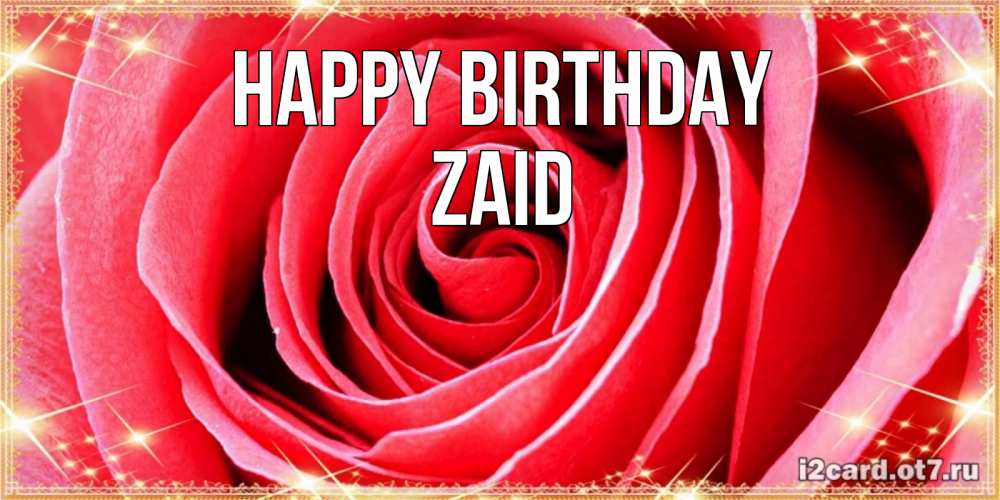 Greetings card с именем, Zaid Happy Birthday розовая роза очень крупный бутон Greetings with text for free download 