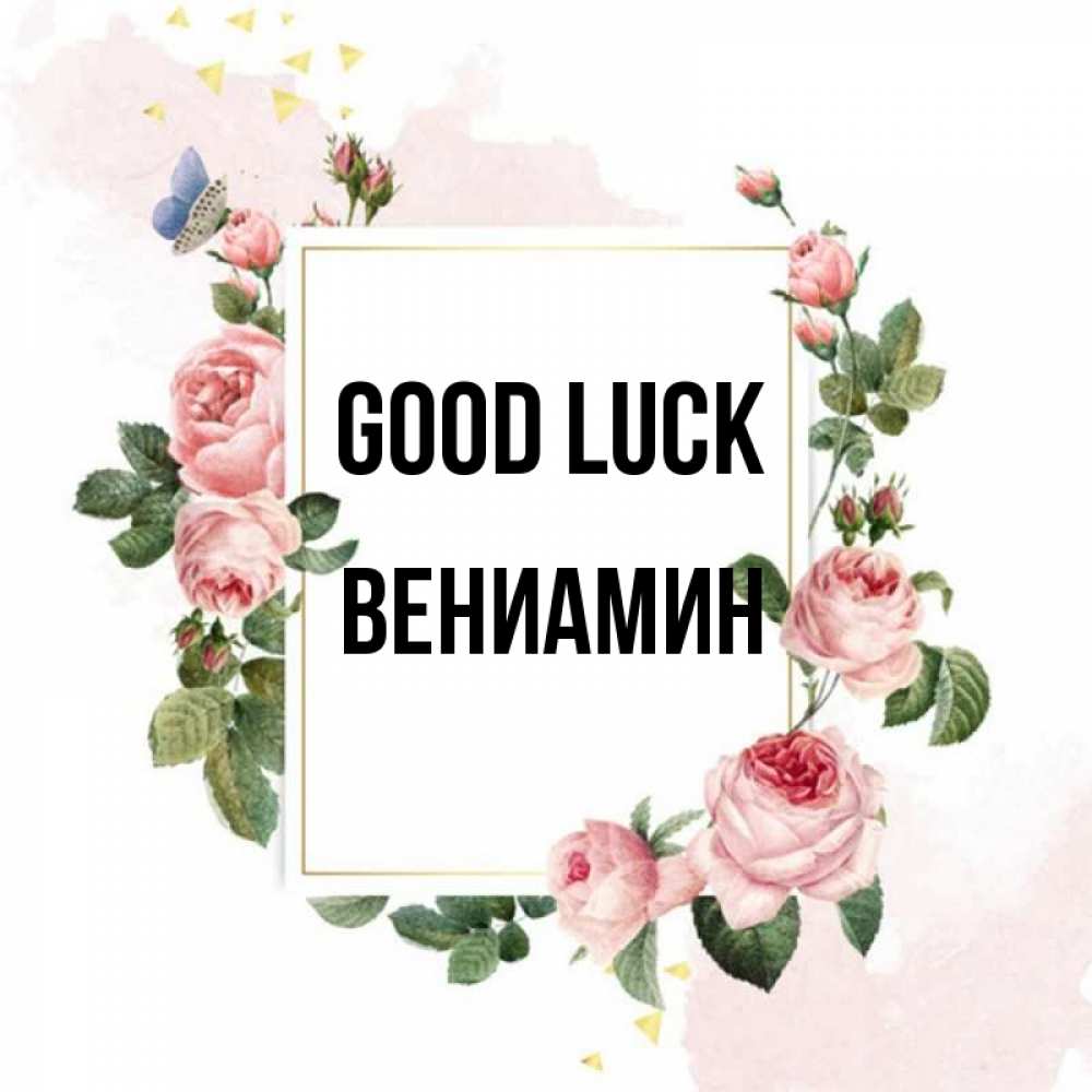 Greetings card с именем, Вениамин Good luck розовые розы Greetings with text for free download 