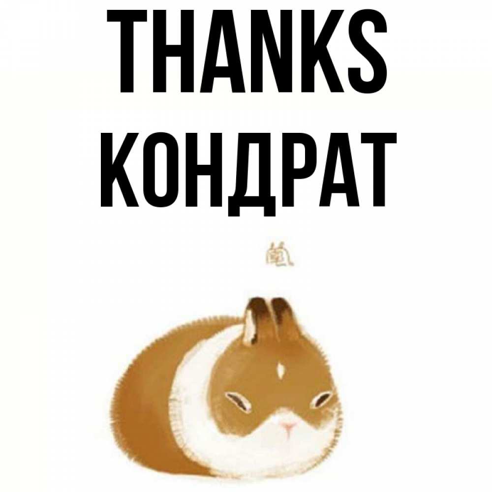 Greetings card с именем, Кондрат Thanks коричнево белый домашний питомец Greetings with text for free download 