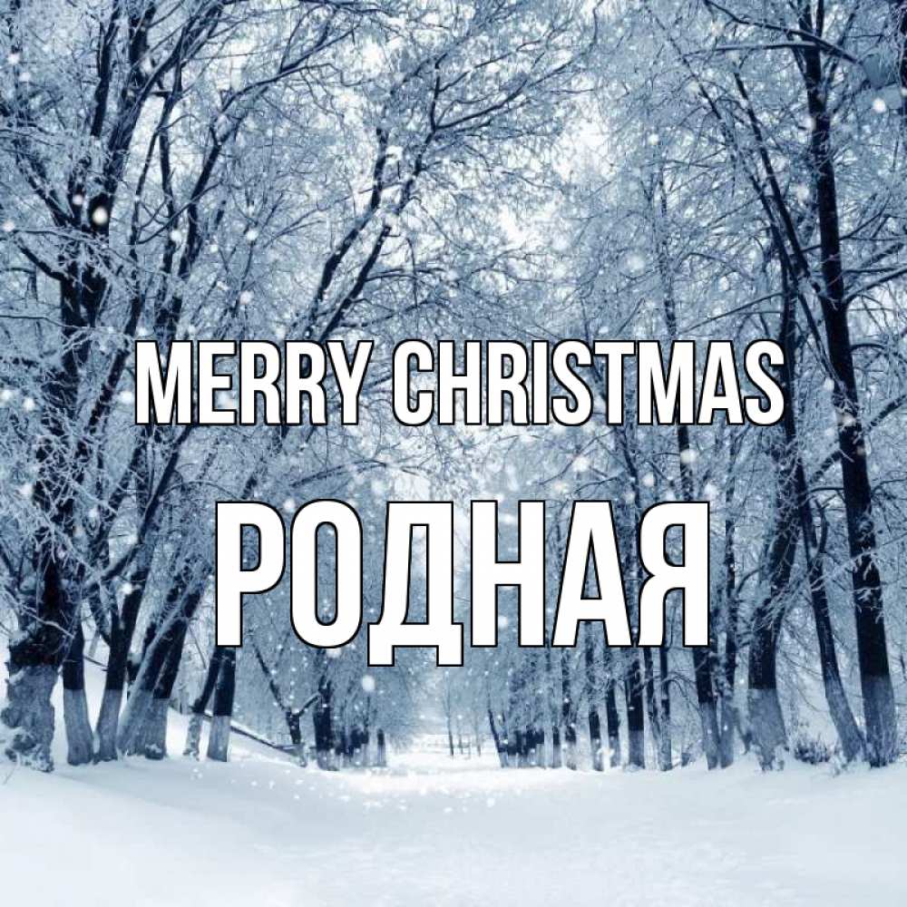 Greetings card с именем, Родная Merry Christmas снег, лес, парк Greetings with text for free download 