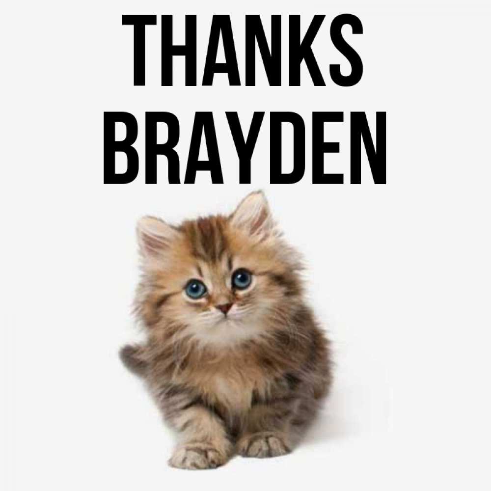 Greetings card с именем, Brayden Thanks пушистый котик Greetings with text for free download 