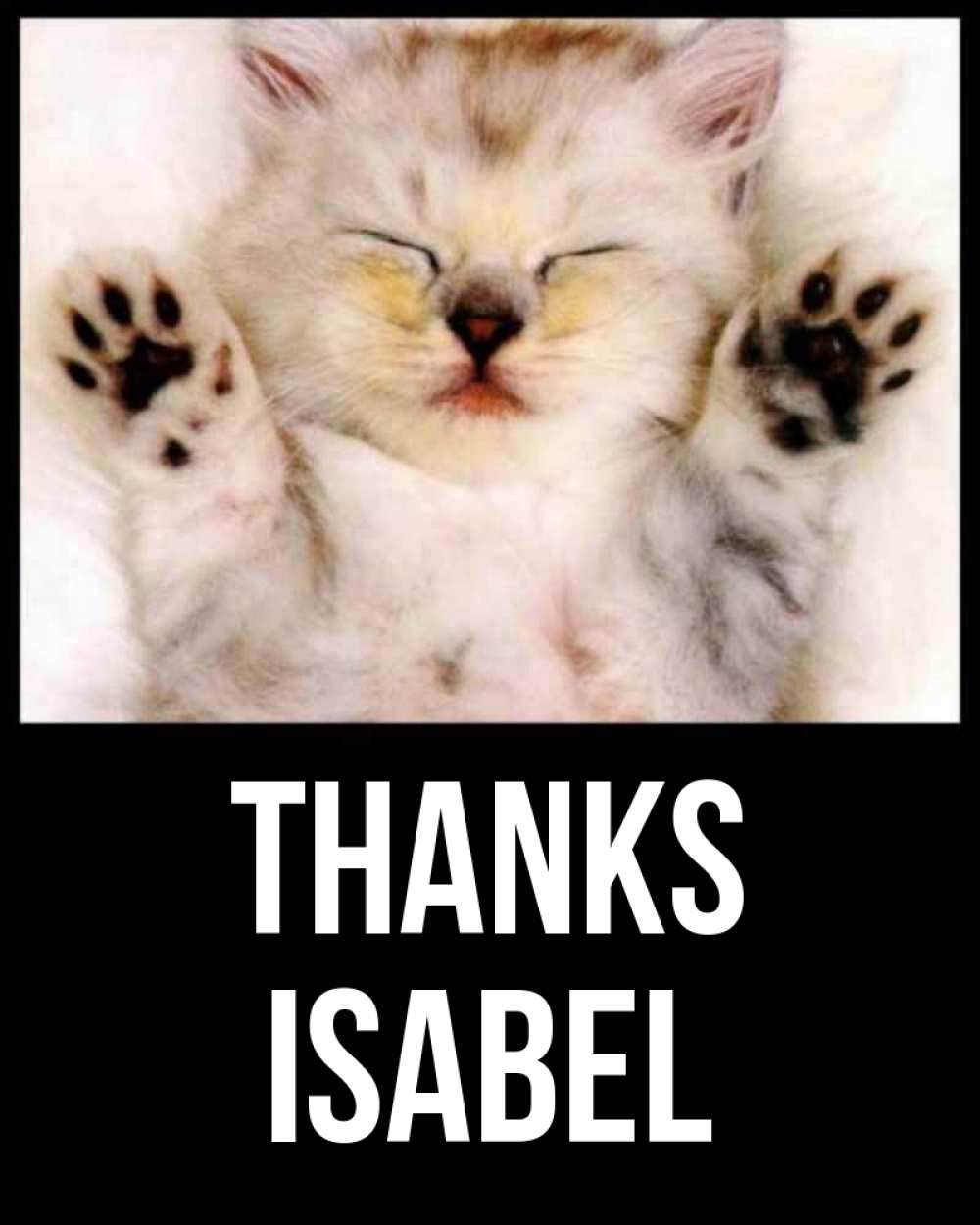 Greetings card с именем, Isabel Thanks маленький котенок Greetings with text for free download 
