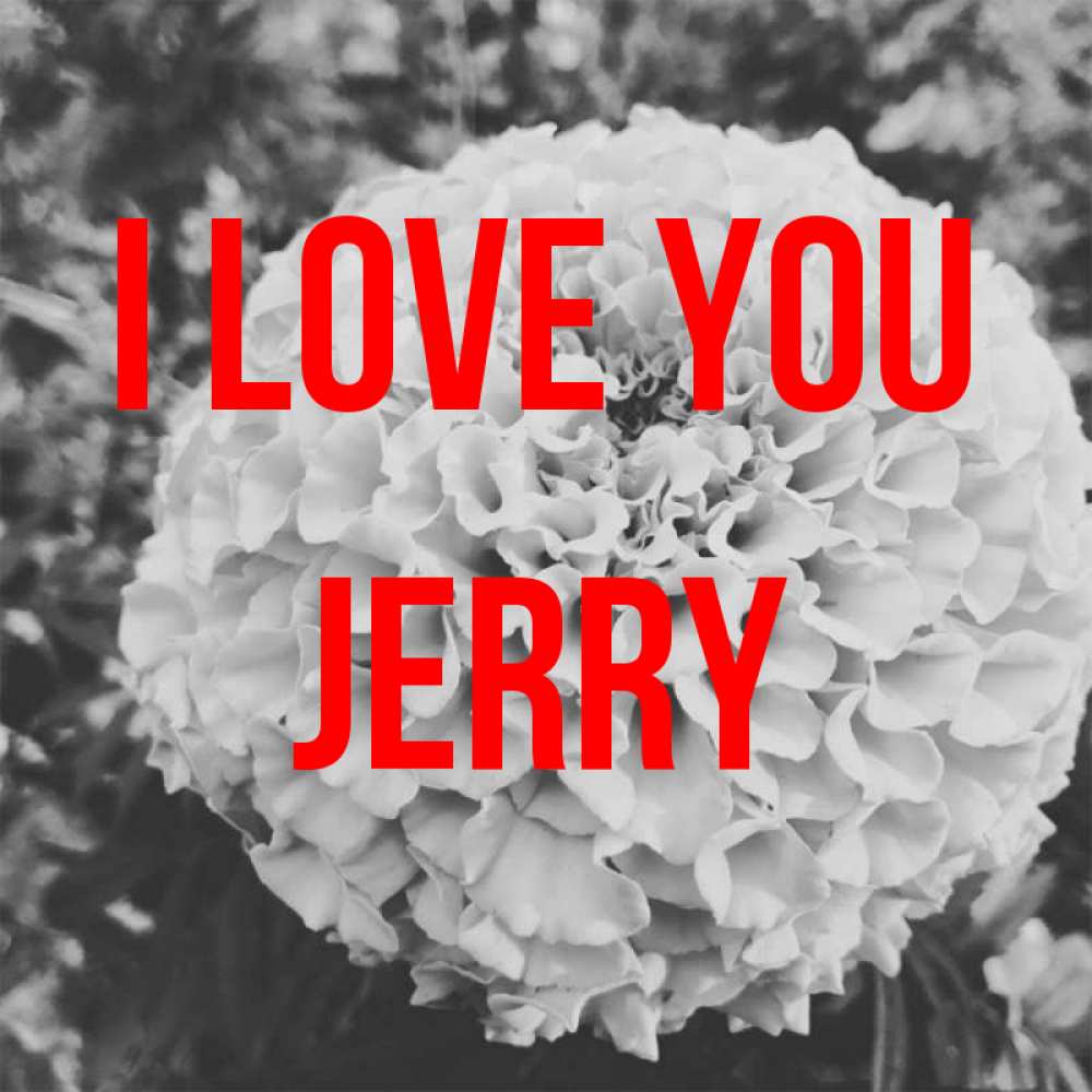 Greetings card с именем, Jerry I love you подпись Greetings with text for free download 