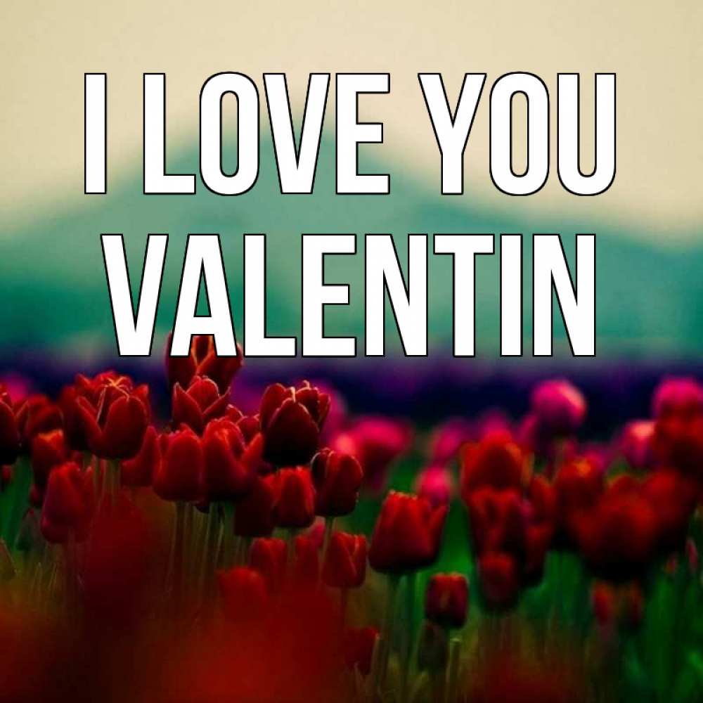 Greetings card с именем, Valentin I love you тюльпаны 4 Greetings with text for free download 