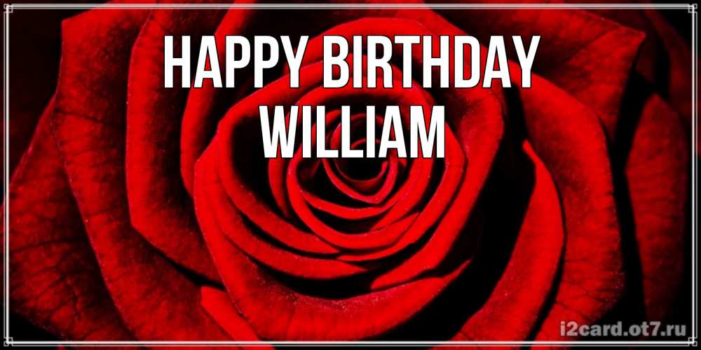 Greetings card с именем, William Happy Birthday алая роза Greetings with text for free download 