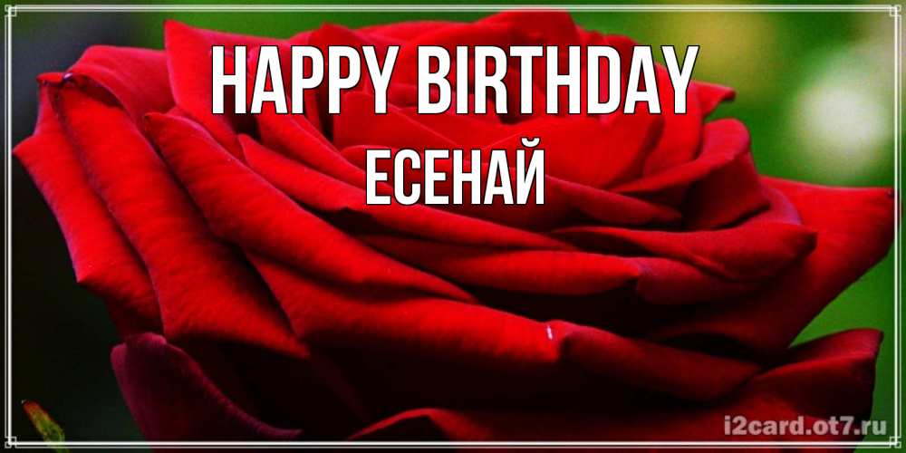 Greetings card с именем, Есенай Happy Birthday розочка очень красивая Greetings with text for free download 