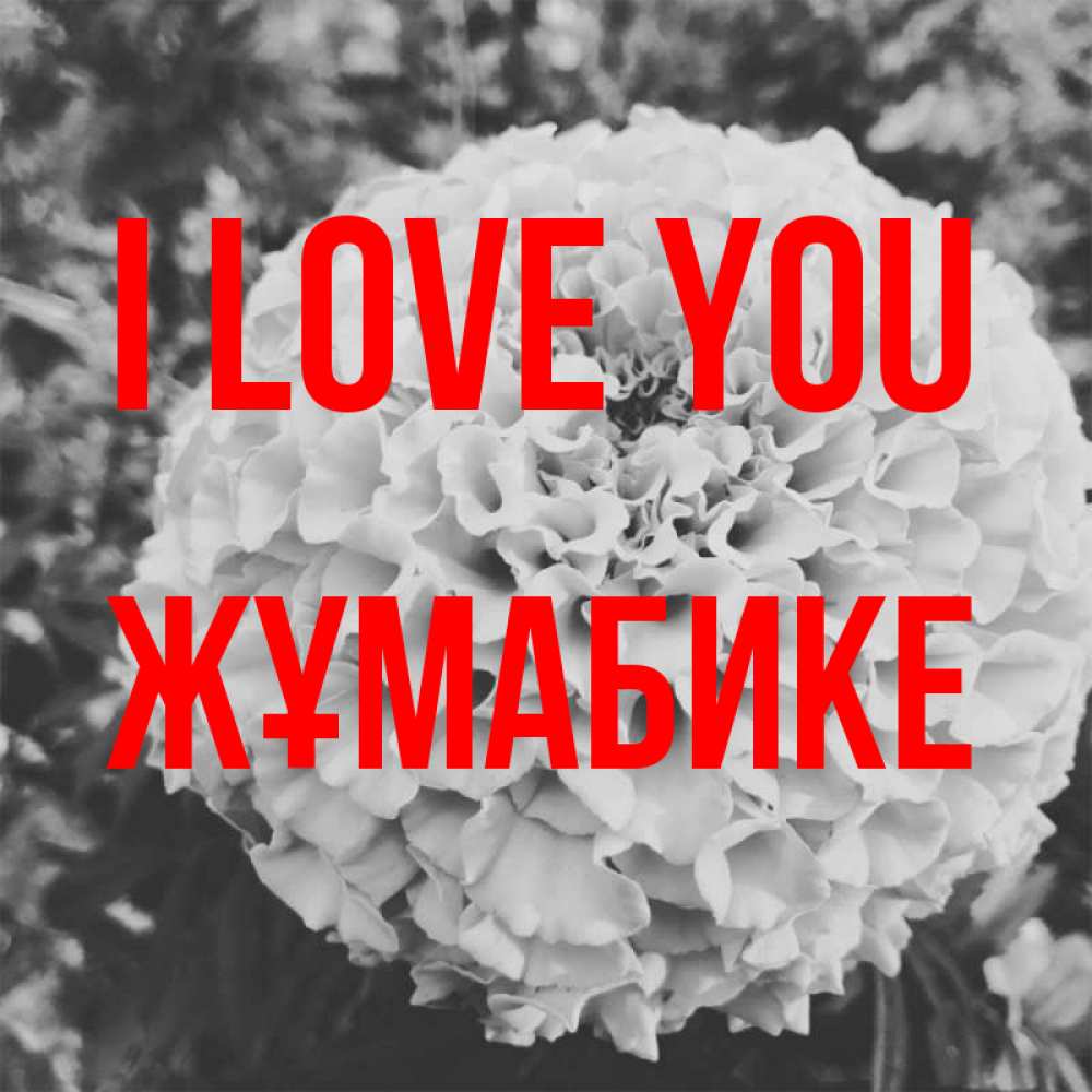 Greetings card с именем, ЖҰМАБИКЕ I love you подпись Greetings with text for free download 