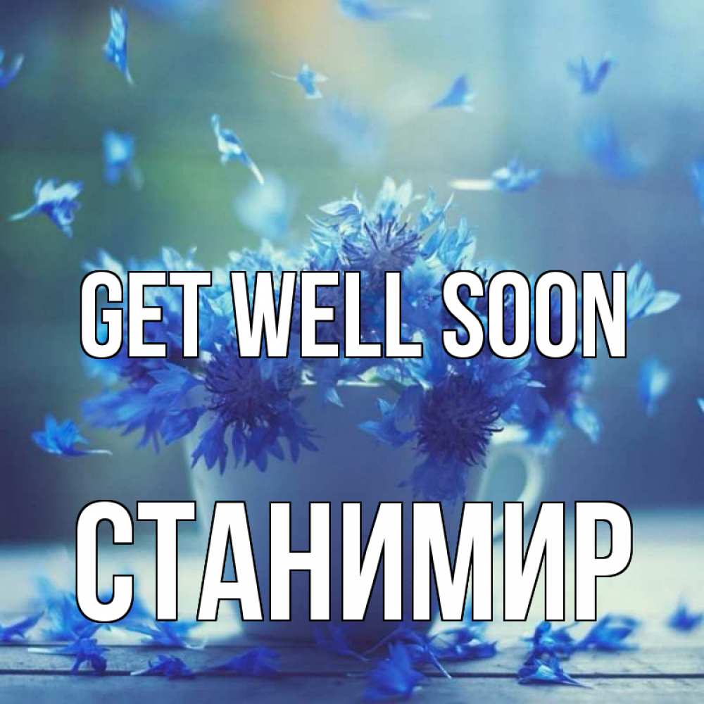 Greetings card с именем, Станимир Get well soon кружка с зельем и цветами Greetings with text for free download 