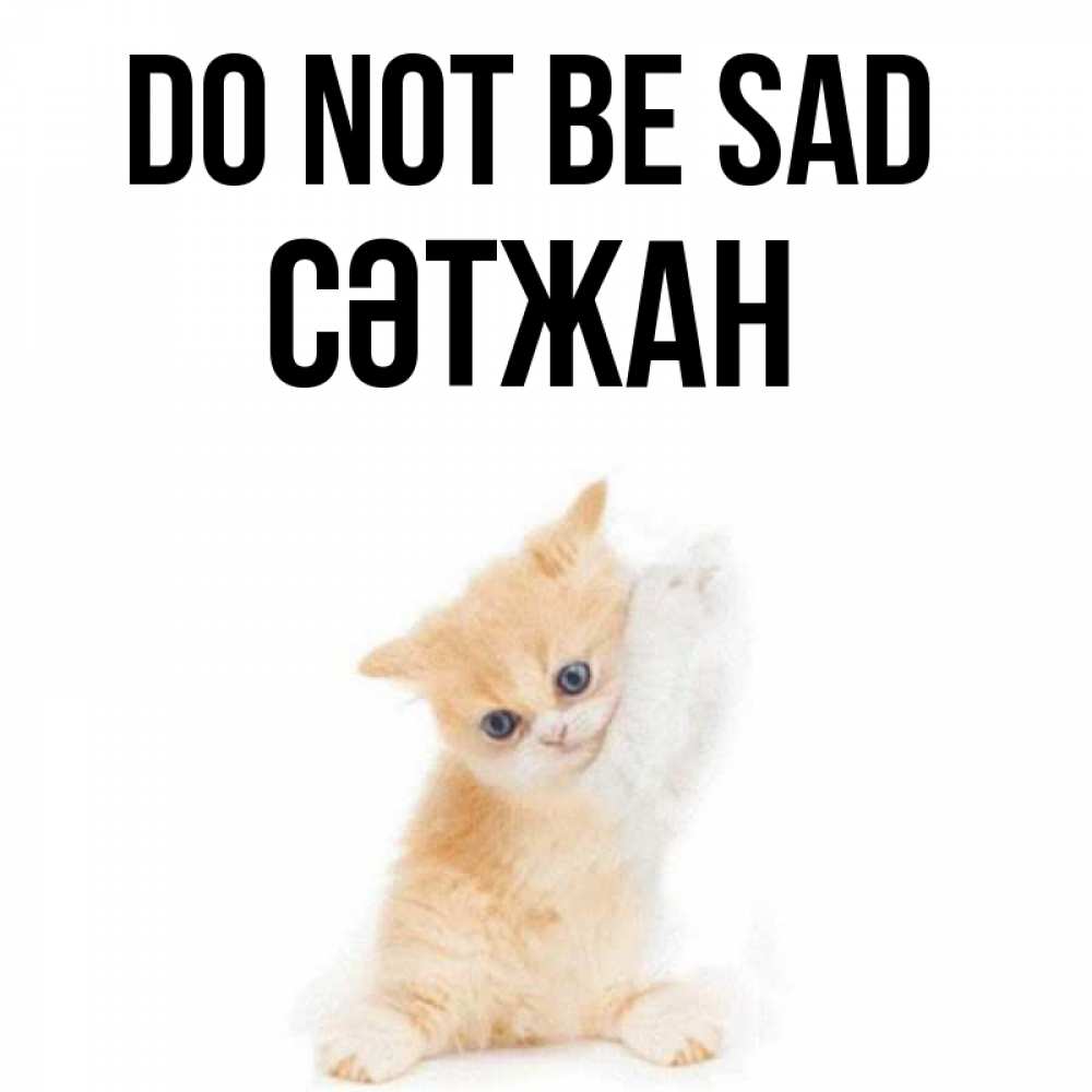 Greetings card с именем, СӘТЖАН Do not be sad просящий кот Greetings with text for free download 