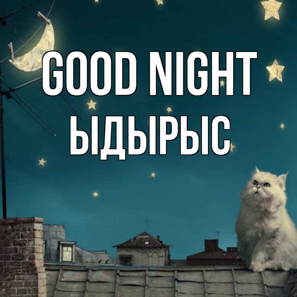 Greetings card с именем, ЫДЫРЫС Good night белый кот сидит на крыше Greetings with text for free download 