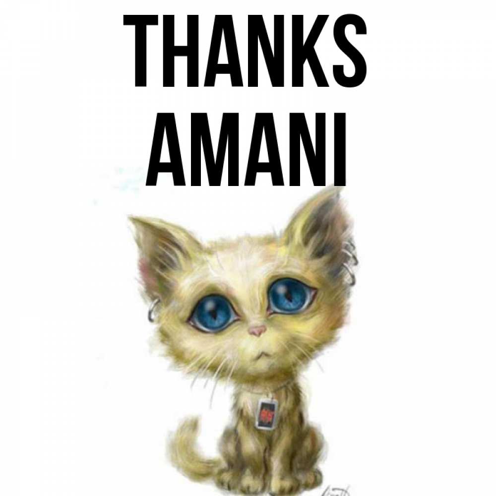 Greetings card с именем, Amani Thanks рисованный кот благодарит вас Greetings with text for free download 