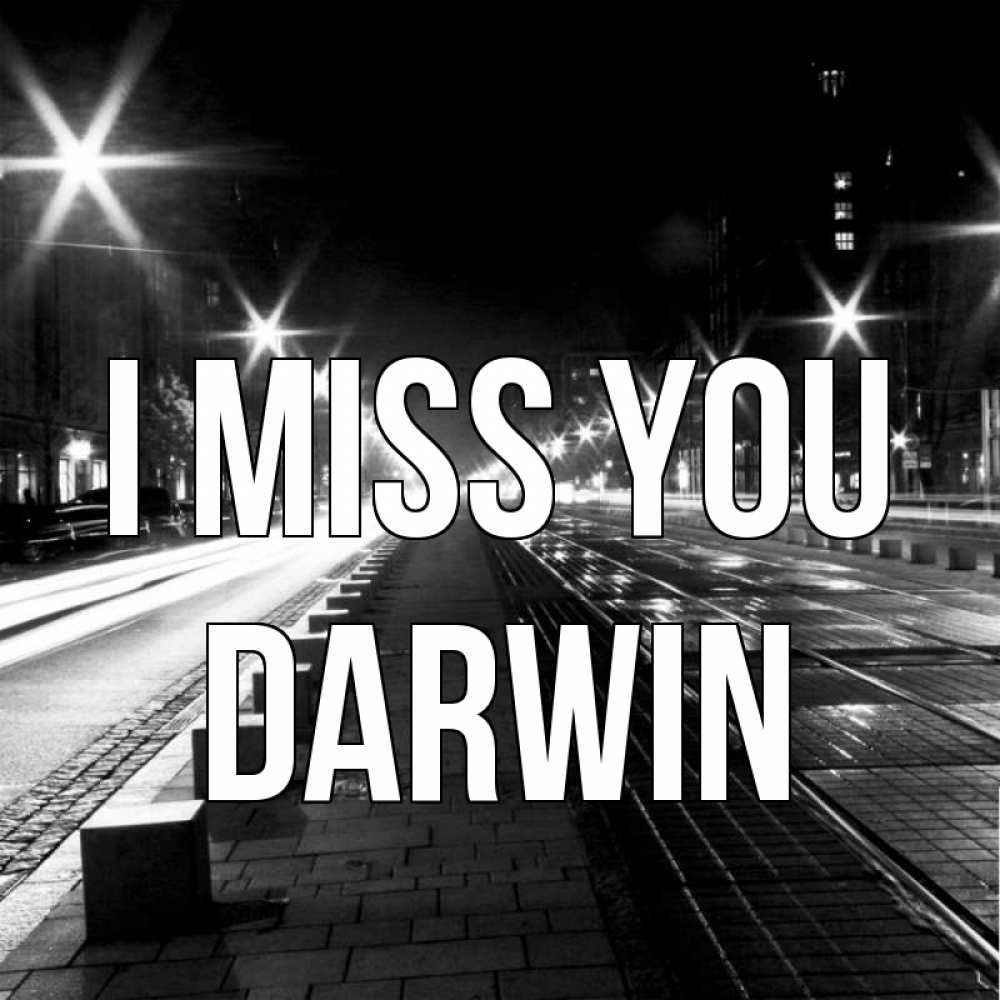 Greetings card с именем, Darwin I miss you проспект Greetings with text for free download 