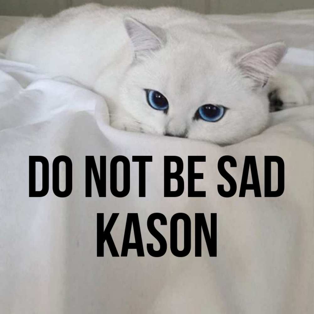Greetings card с именем, Kason Do not be sad Голубоглазая кошка Greetings with text for free download 