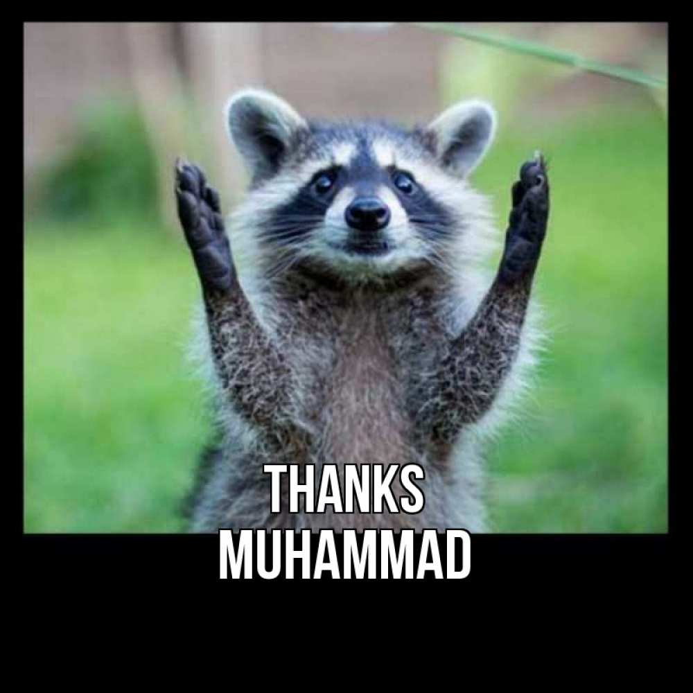 Greetings card с именем, Muhammad Thanks милые животные Greetings with text for free download 