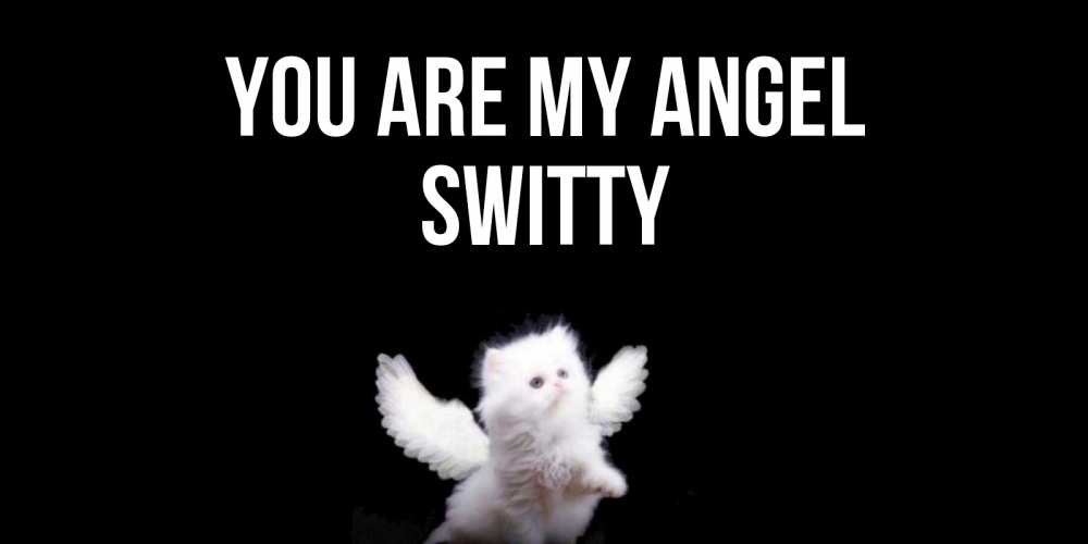 Greetings card с именем, switty You are my angel Кот ангел Greetings with text for free download 