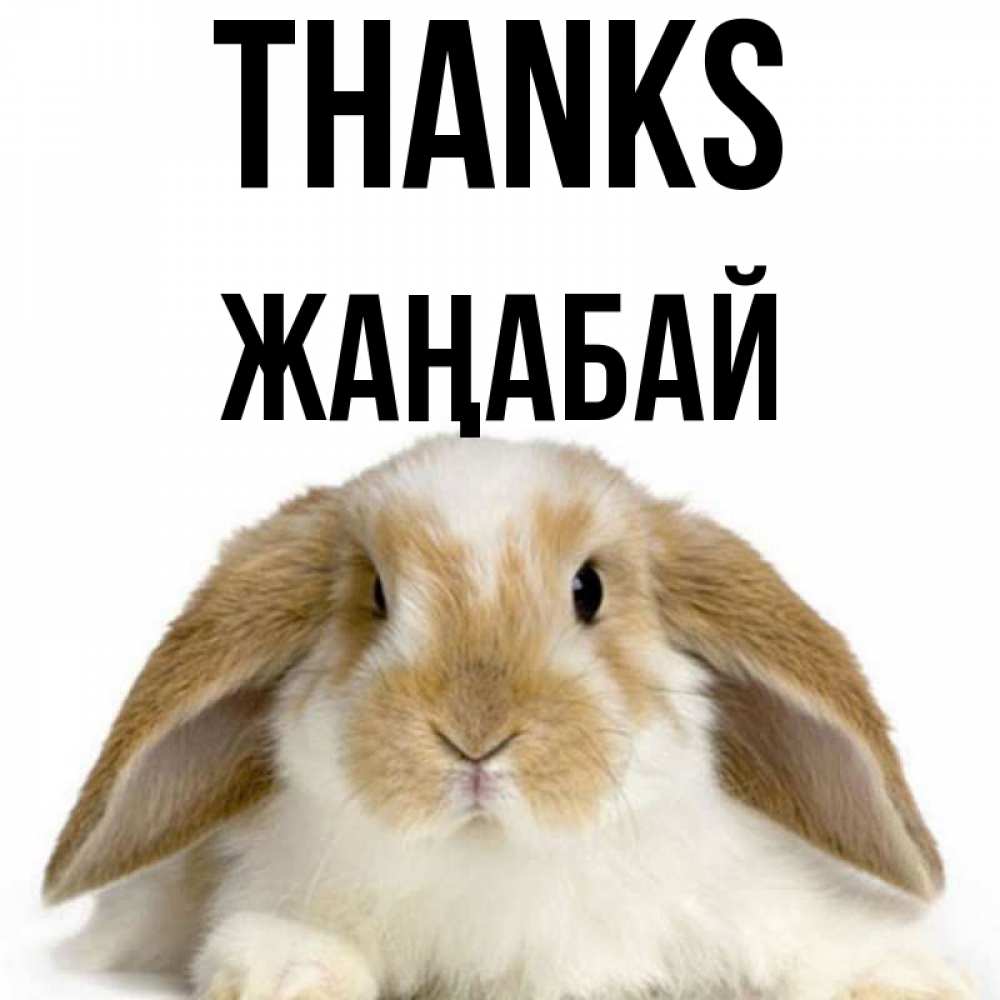Greetings card с именем, Жаңабай Thanks коричнево белый заяц Greetings with text for free download 