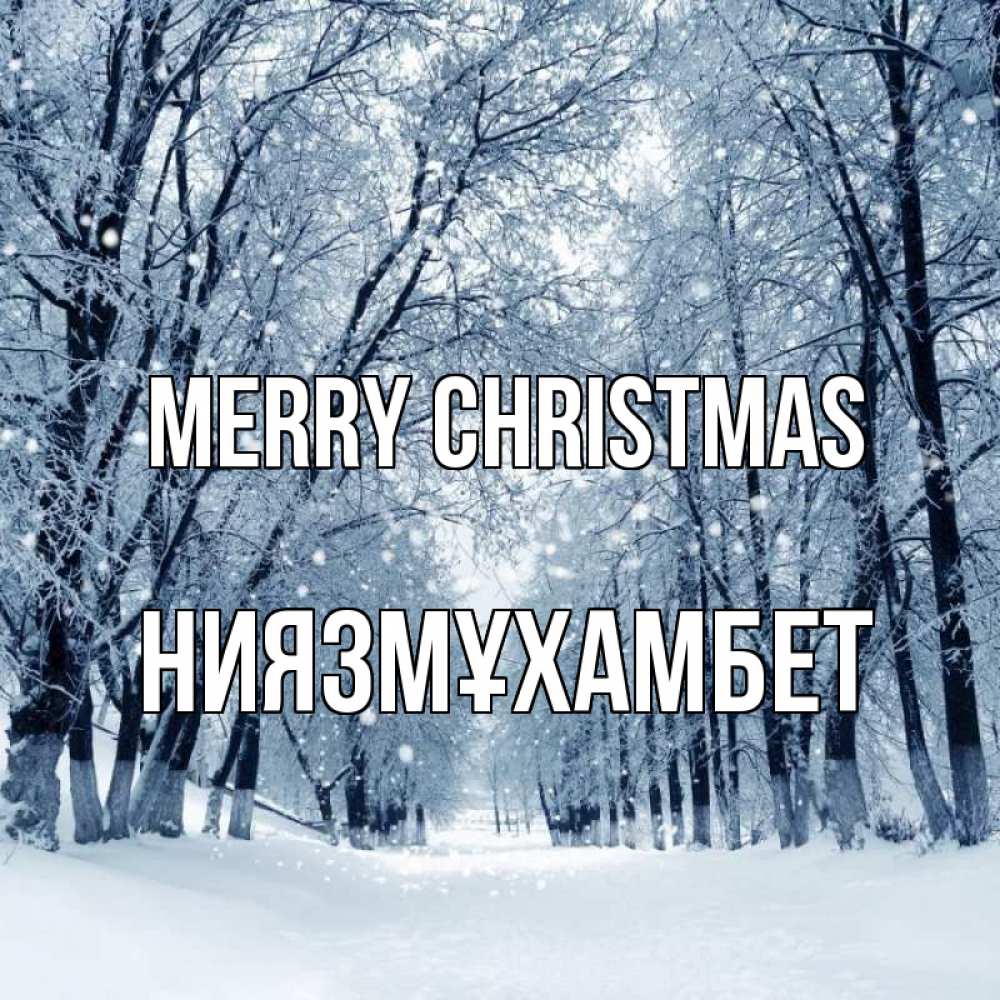Greetings card с именем, НИЯЗМҰХАМБЕТ Merry Christmas снег, лес, парк Greetings with text for free download 