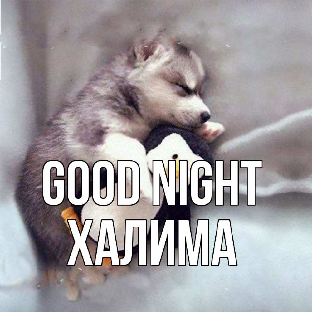 Greetings card с именем, ХАЛИМА Good night обнимашки щенка и пингвина Greetings with text for free download 