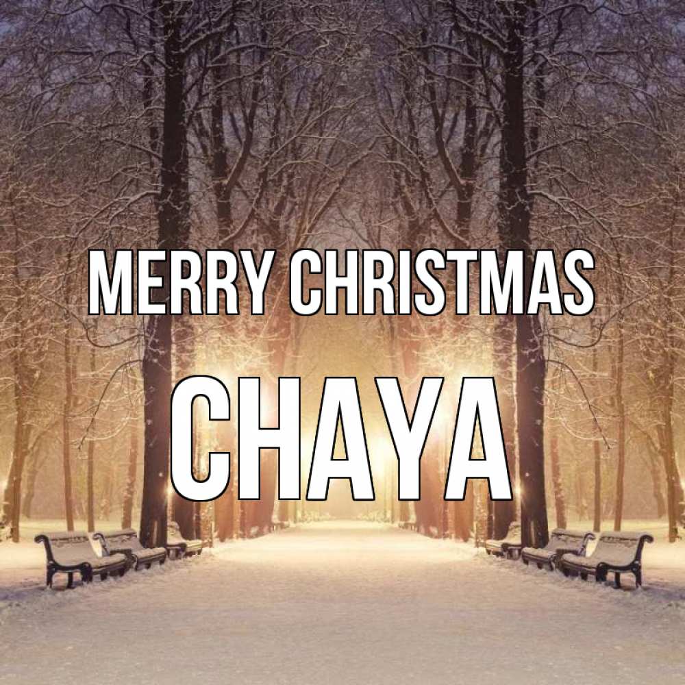 Greetings card с именем, Chaya Merry Christmas зима, парк, фонарь, лес Greetings with text for free download 