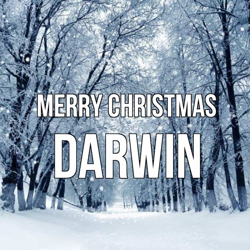 Greetings card с именем, Darwin Merry Christmas снег, лес, парк Greetings with text for free download 