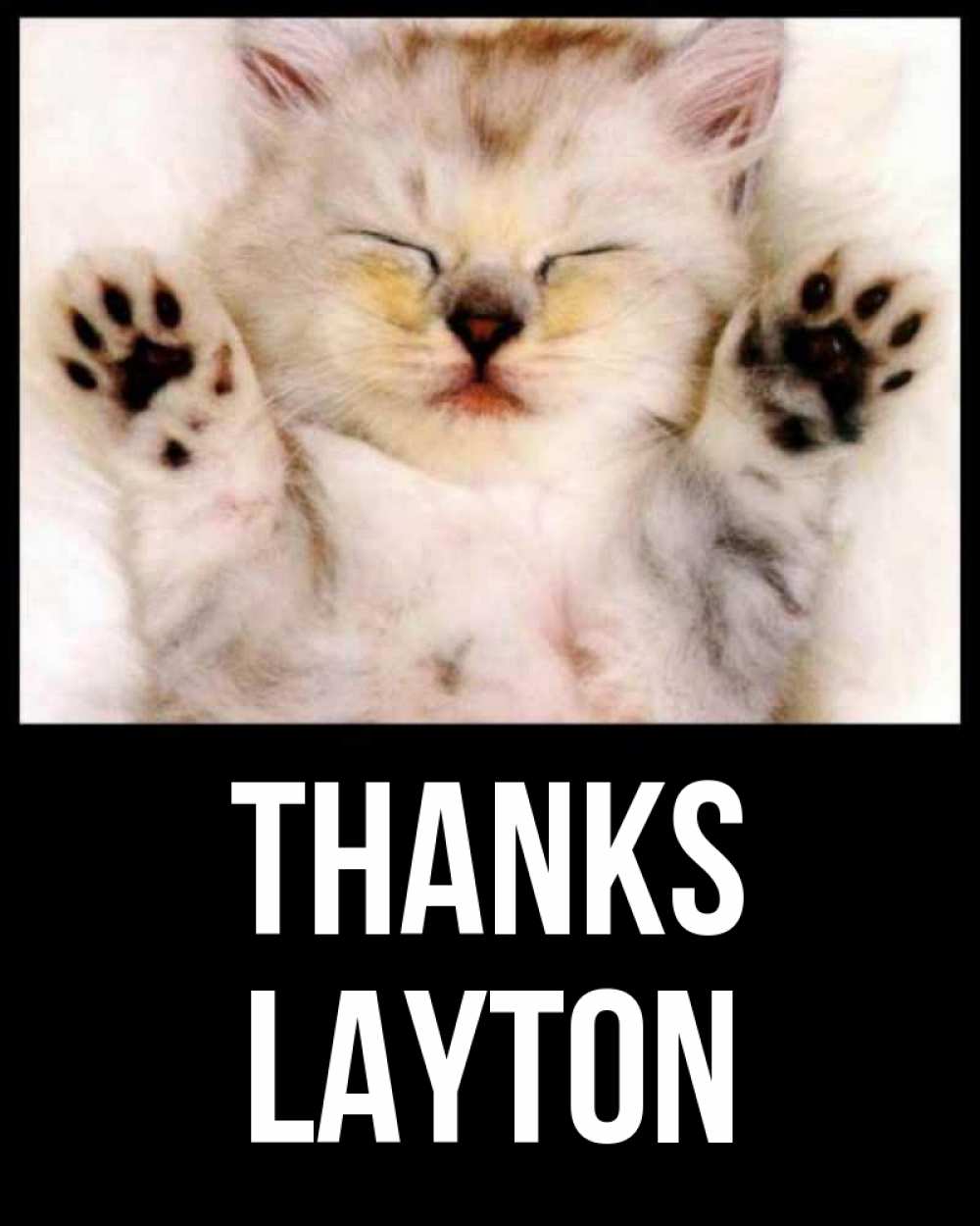 Greetings card с именем, Layton Thanks маленький котенок Greetings with text for free download 
