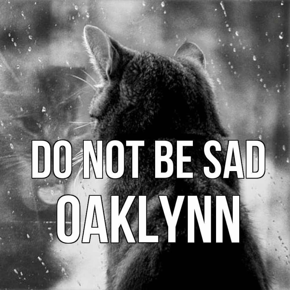 Greetings card с именем, Oaklynn Do not be sad отражение кота 1 Greetings with text for free download 