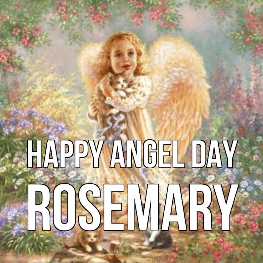 Greetings card с именем, Rosemary happy angel day держит котенка Greetings with text for free download 