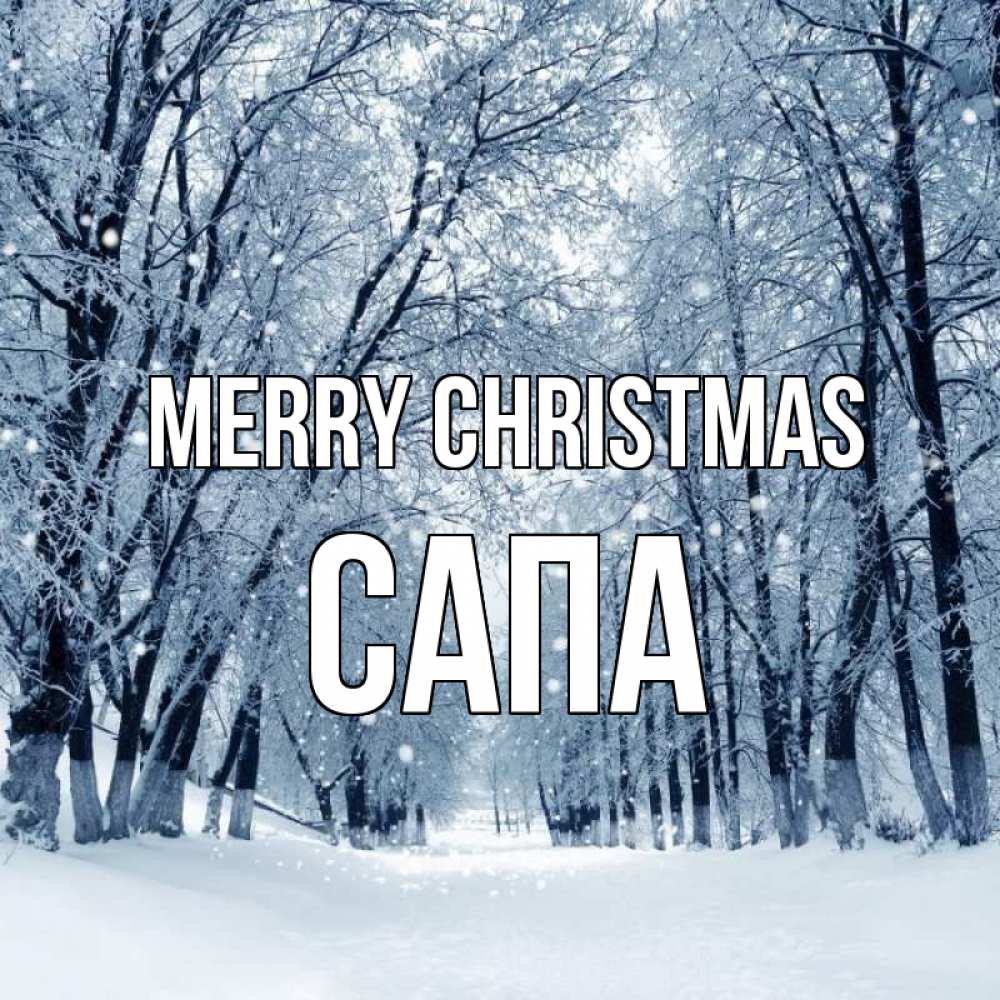 Greetings card с именем, САПА Merry Christmas снег, лес, парк Greetings with text for free download 