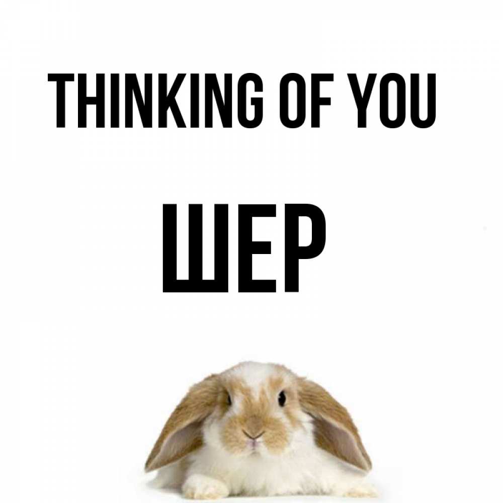 Greetings card с именем, ШЕР Thinking of you подписать своими руками онлайн Greetings with text for free download 