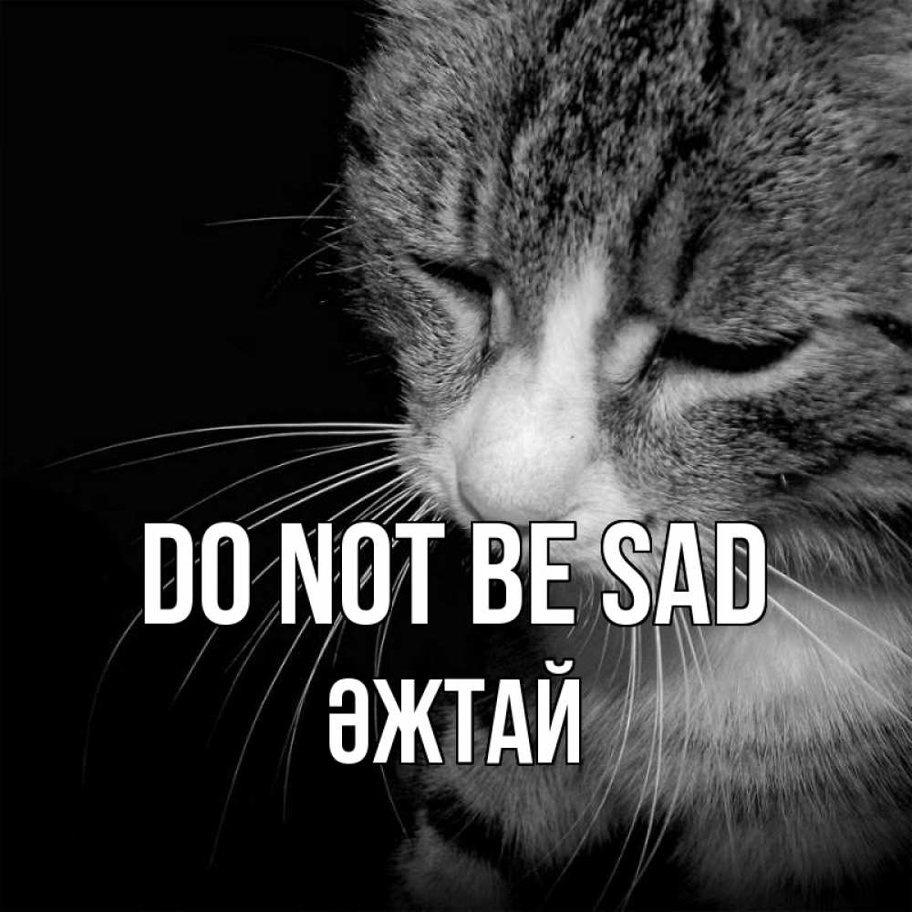 Greetings card с именем, Әжтай Do not be sad грустный котик Greetings with text for free download 