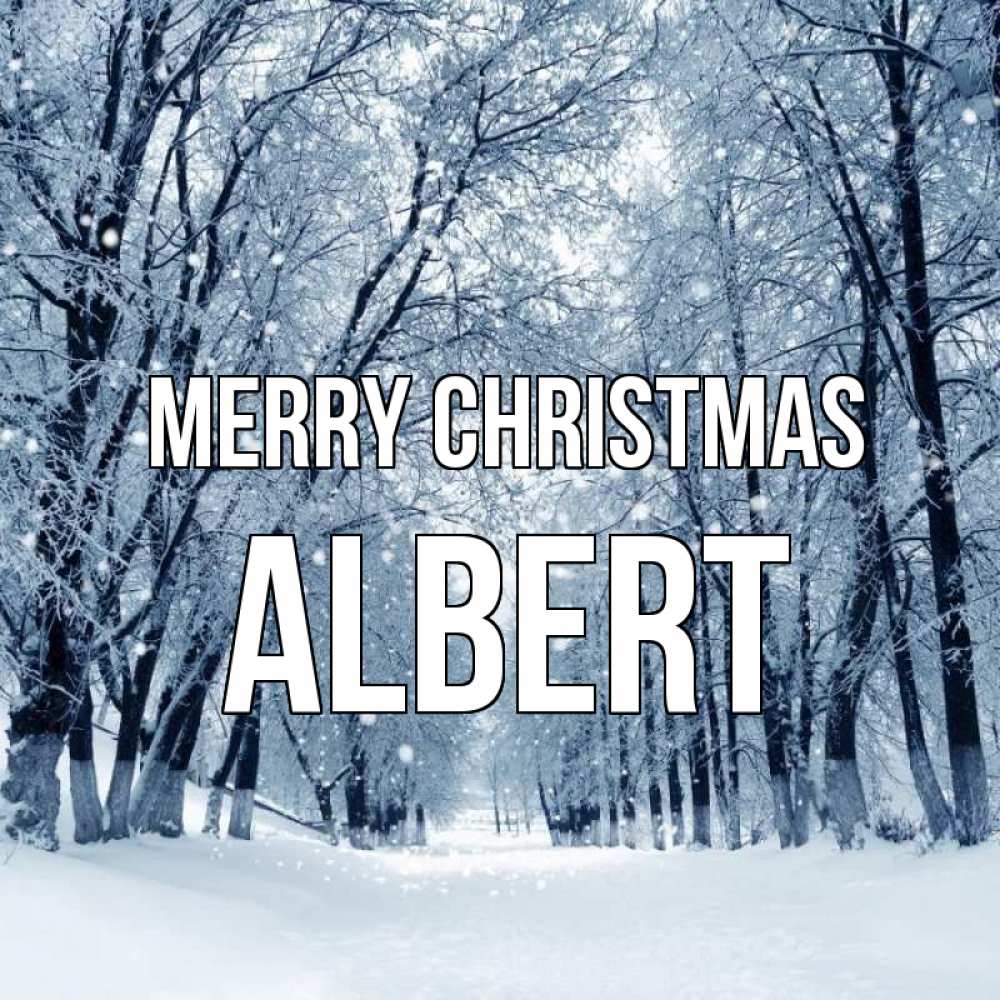 Greetings card с именем, Albert Merry Christmas снег, лес, парк Greetings with text for free download 