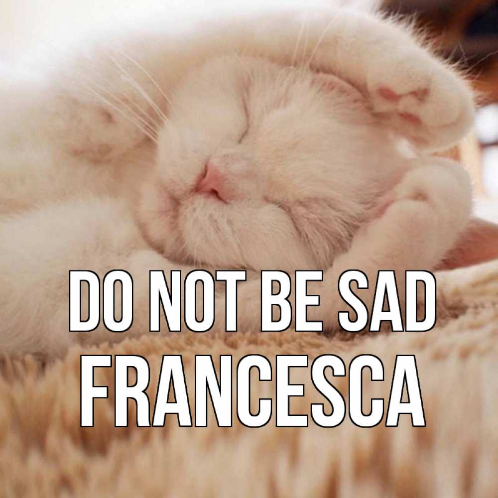 Greetings card с именем, Francesca Do not be sad белый кот Greetings with text for free download 