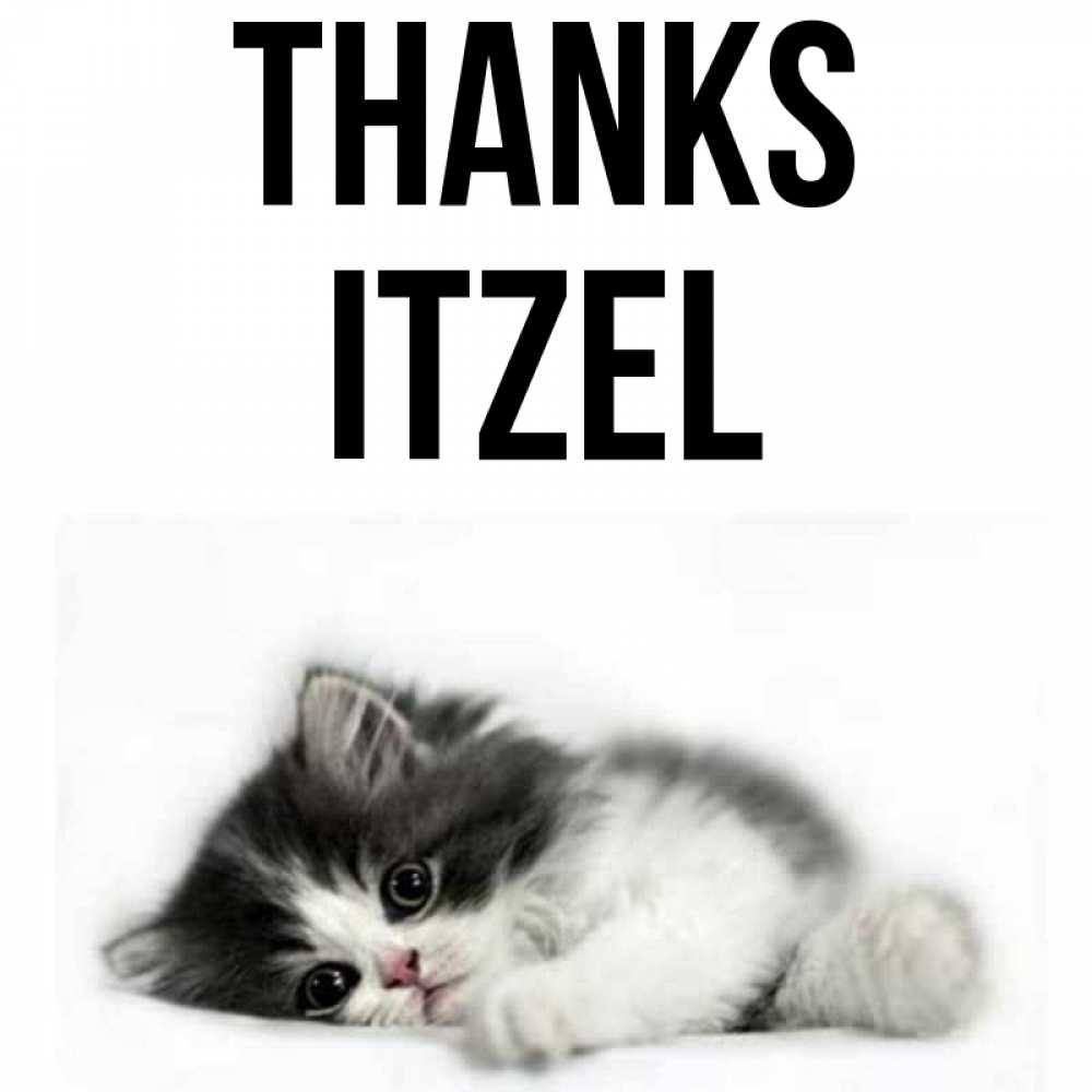 Greetings card с именем, Itzel Thanks черный и белый кот Greetings with text for free download 