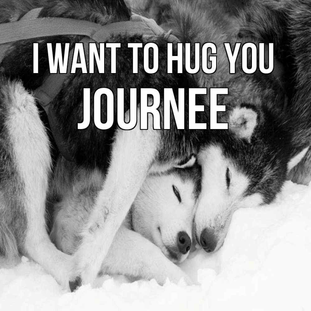 Greetings card с именем, Journee I want to hug you собачки в упряжке Greetings with text for free download 
