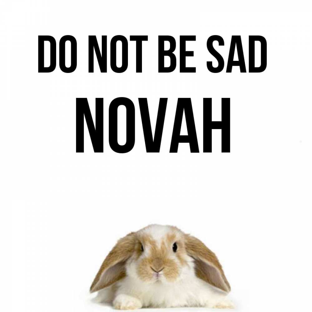 Greetings card с именем, Novah Do not be sad коричнево белый заяц с большими ушками Greetings with text for free download 